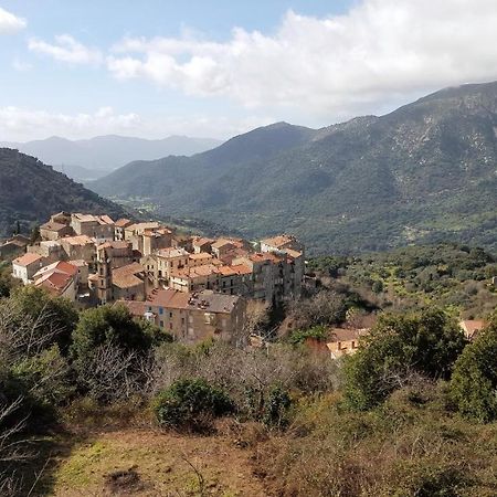 Casa Corsa Villa Santa-Lucia-di-Tallano Kültér fotó