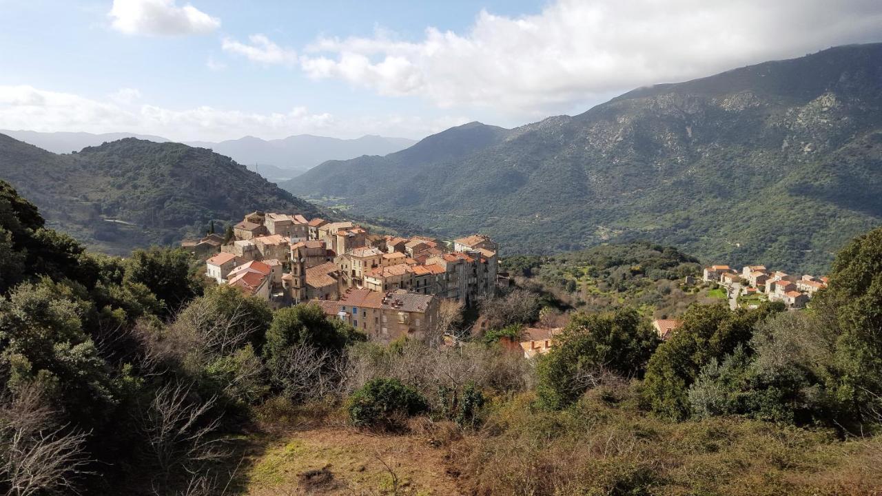 Casa Corsa Villa Santa-Lucia-di-Tallano Kültér fotó